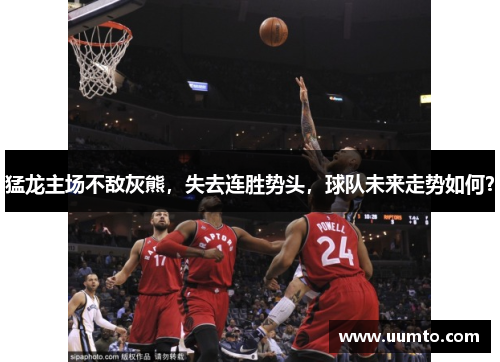 猛龙主场不敌灰熊，失去连胜势头，球队未来走势如何？