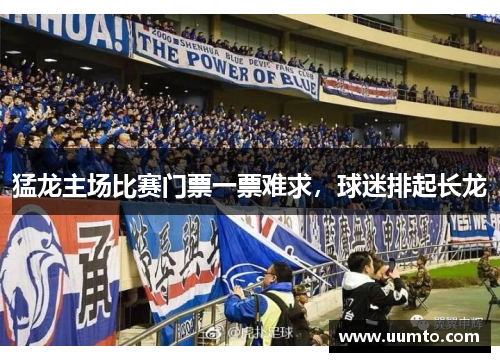 猛龙主场比赛门票一票难求，球迷排起长龙