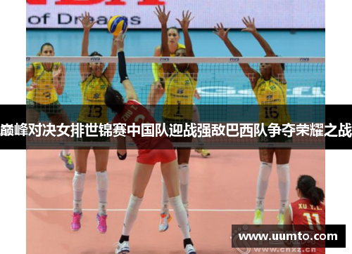 巅峰对决女排世锦赛中国队迎战强敌巴西队争夺荣耀之战