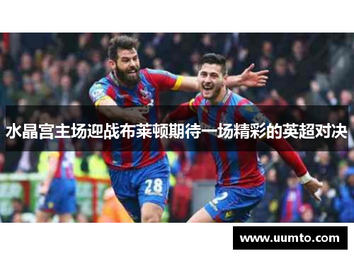 水晶宫主场迎战布莱顿期待一场精彩的英超对决