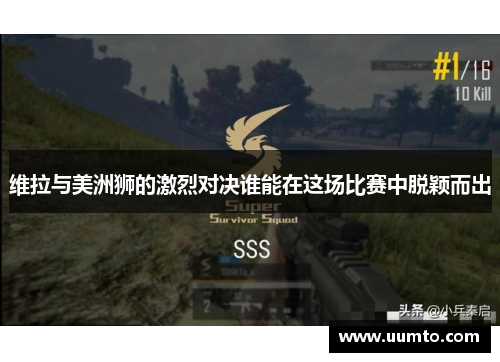 维拉与美洲狮的激烈对决谁能在这场比赛中脱颖而出